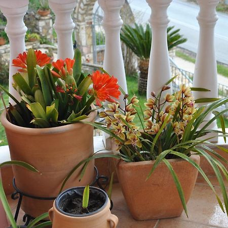 Amaryllis House Lägenhet Parga Exteriör bild