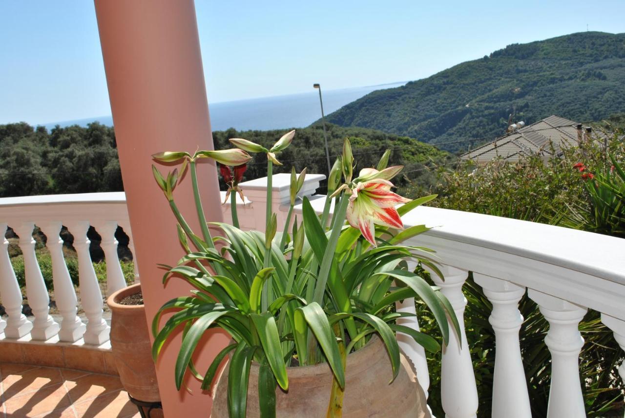 Amaryllis House Lägenhet Parga Exteriör bild