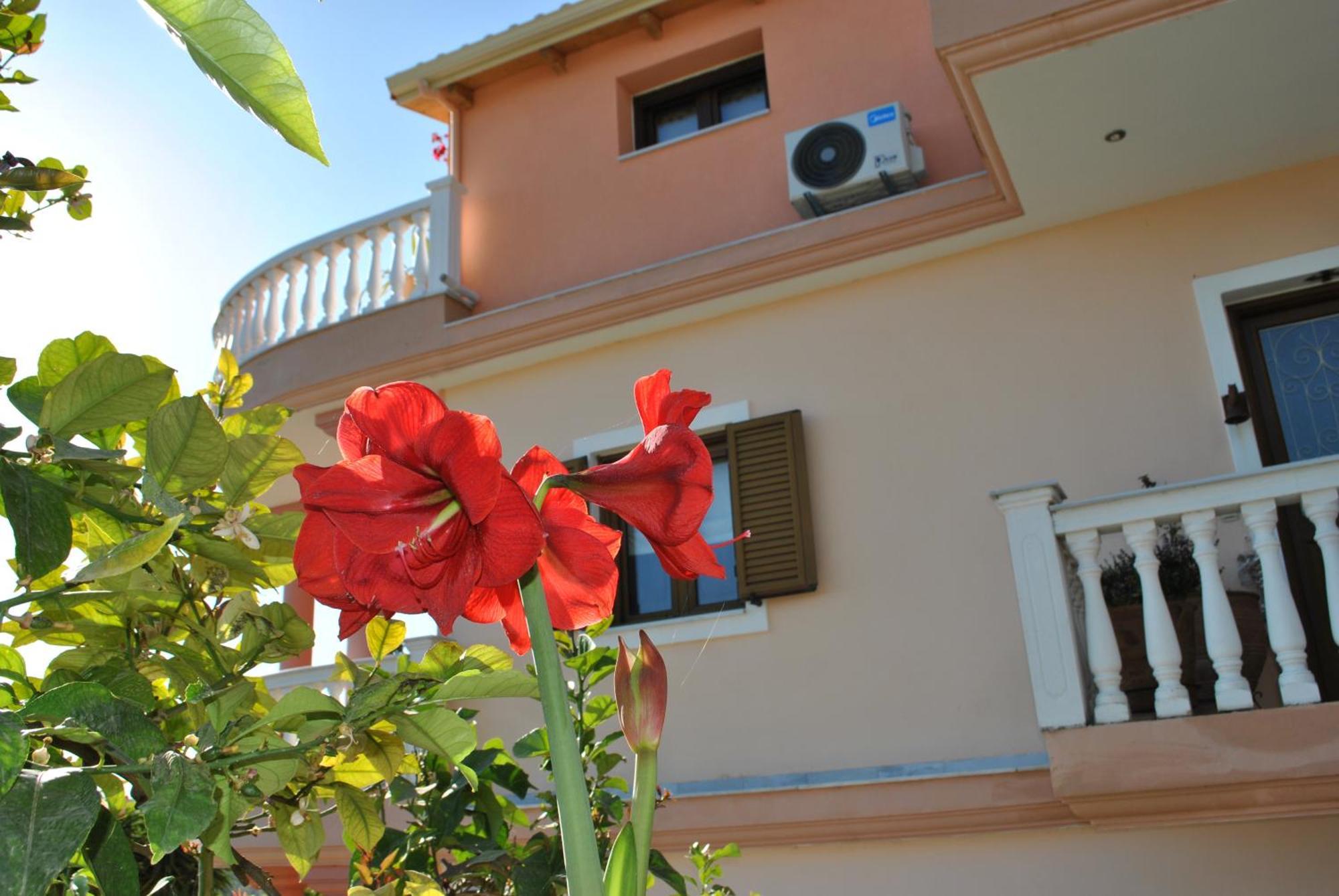 Amaryllis House Lägenhet Parga Exteriör bild