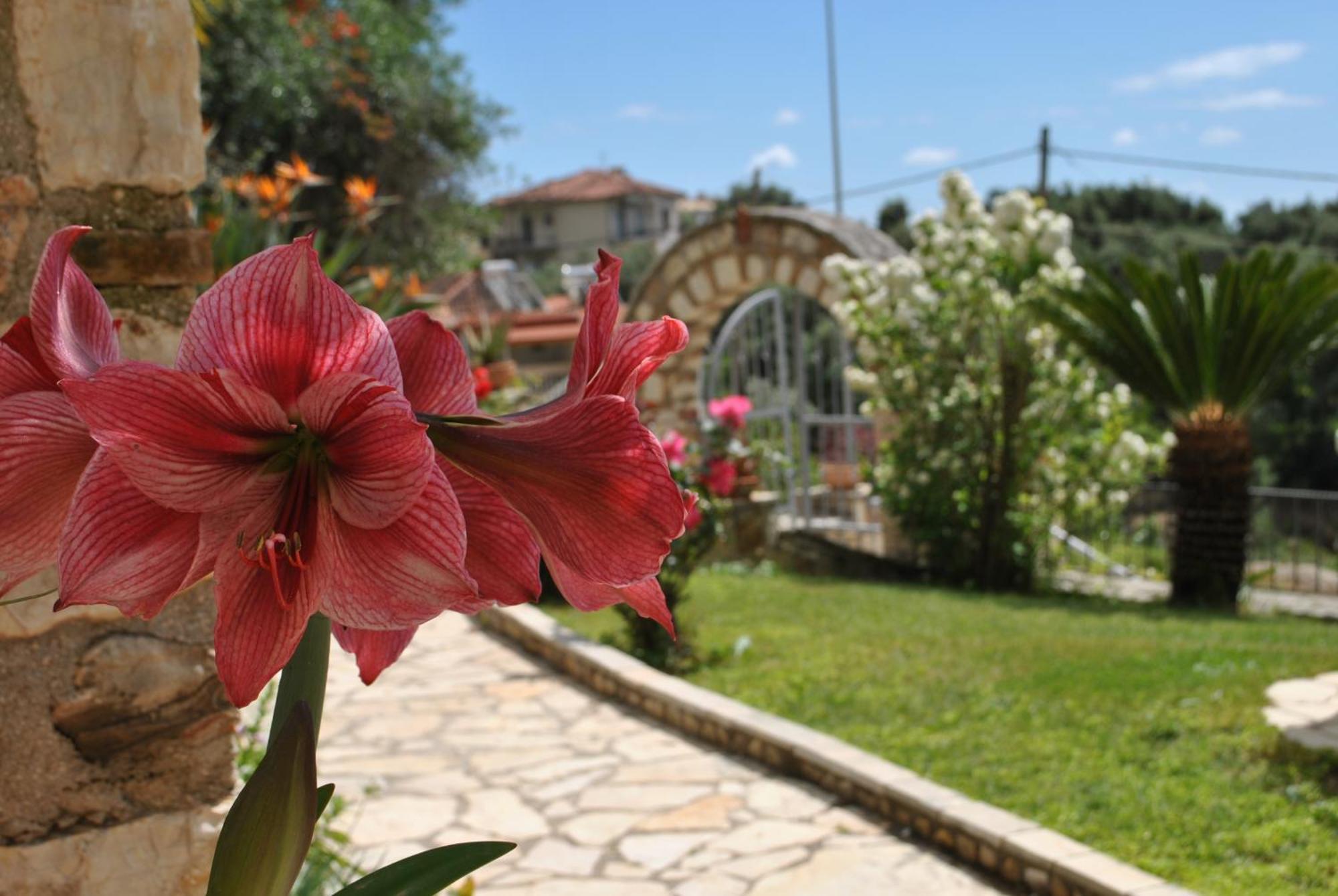 Amaryllis House Lägenhet Parga Exteriör bild